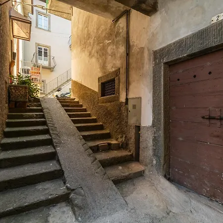 Apartman Casa Sofia *